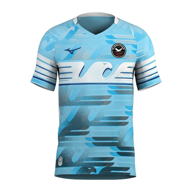 2024-25 True Blue Gull Home Kit